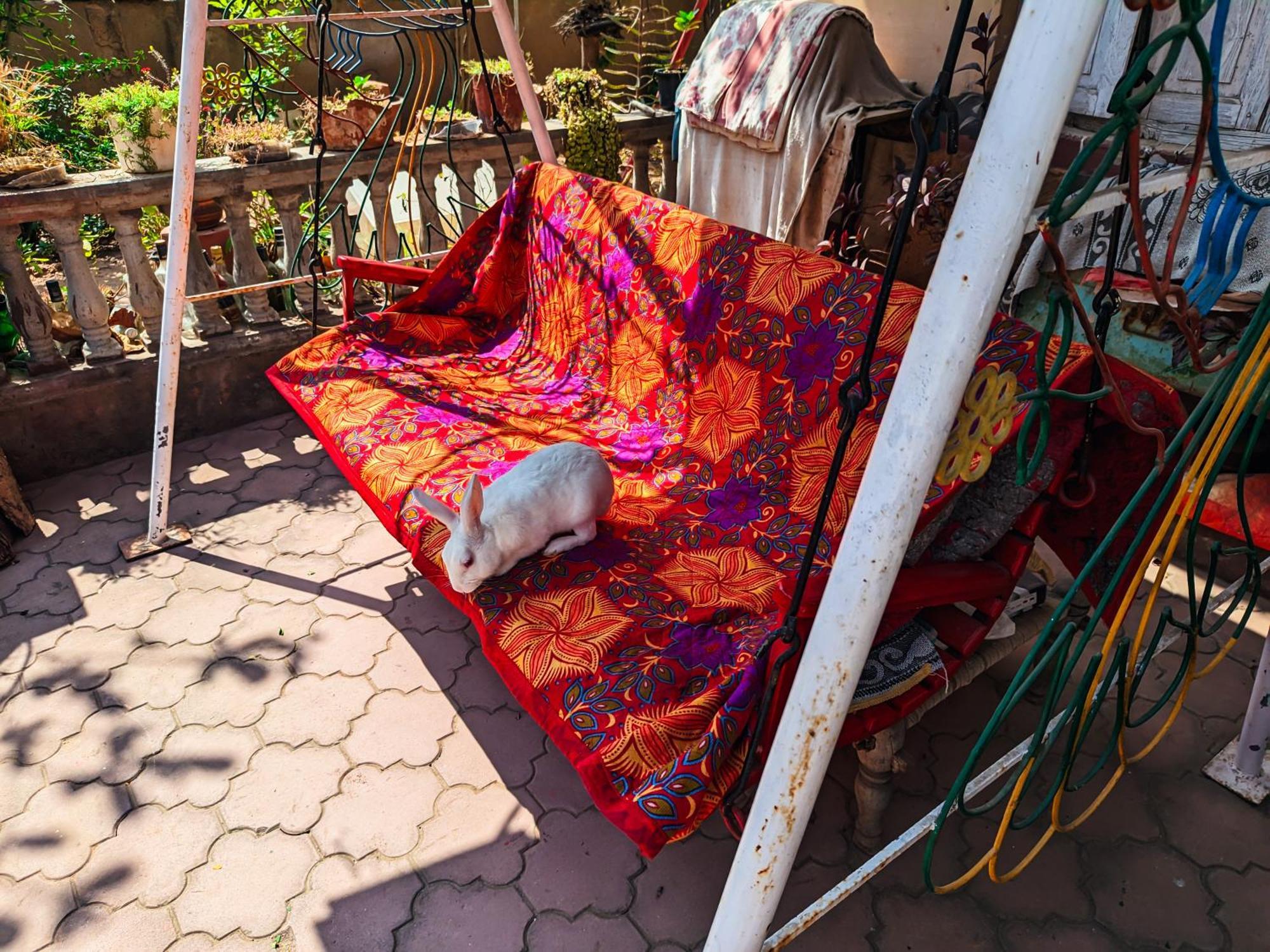 Jaat House Βίλα Bhuj Εξωτερικό φωτογραφία